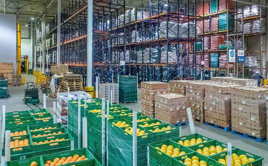 A cadeia de frio num armazém de frutas frescas é essencial para manter o frescor da mercadoria, por esse motivo evitar a quebra é primordial. A cadeia de frio num armazém de frutas frescas é essencial para manter o frescor da mercadoria, por esse motivo evitar a quebra é primordial.