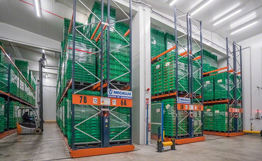 Armazém do Grupo Alimentario Citrus com várias soluções de armazenamento