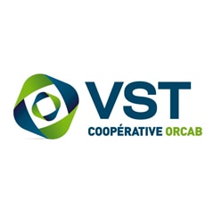 VST logotipo