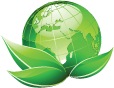 Uso sustentável de paletes: Legislações aplicáveis e o sistema de gestão  ambiental - AmbLegis