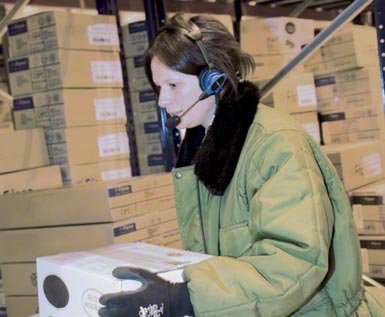Sistema voice picking aplicado em um centro logístico automatizado para a armazenagem e distribuição de produtos congelados