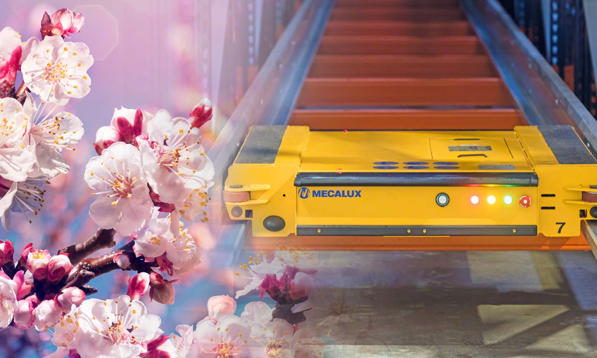 De Prado multiplica a produção com o sistema Pallet Shuttle gerenciado pelo Easy WMS