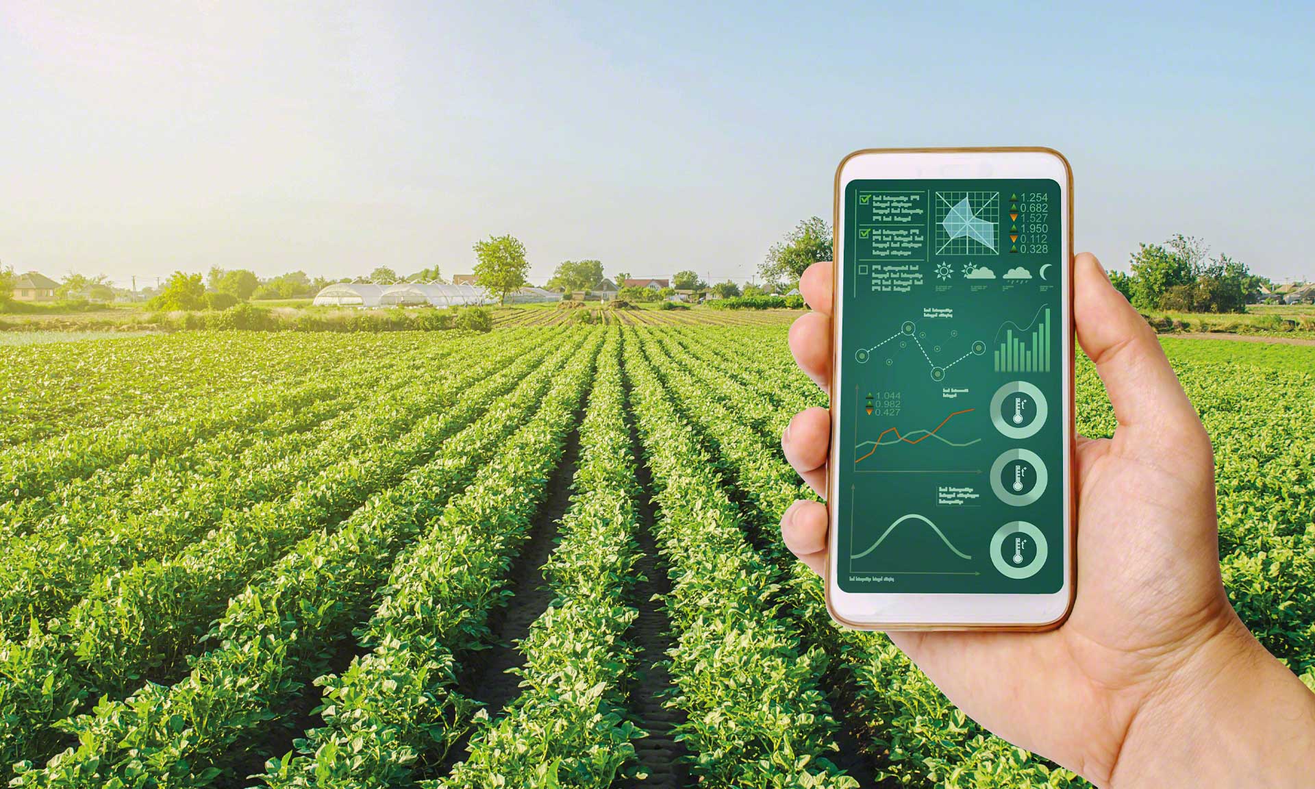 LT Distribution Europe controla a rastreabilidade dos alimentos LT Distribution Europe controla a rastreabilidade dos alimentos