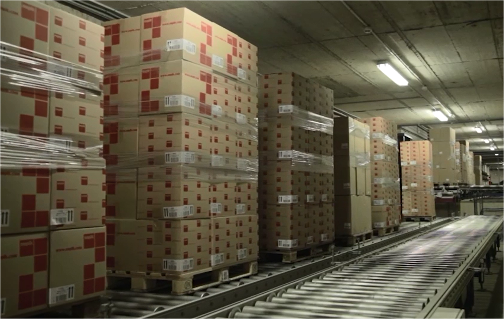 Fluxos contínuos de mercadorias com transportadores de paletes Fluxos contínuos de mercadorias com transportadores de paletes