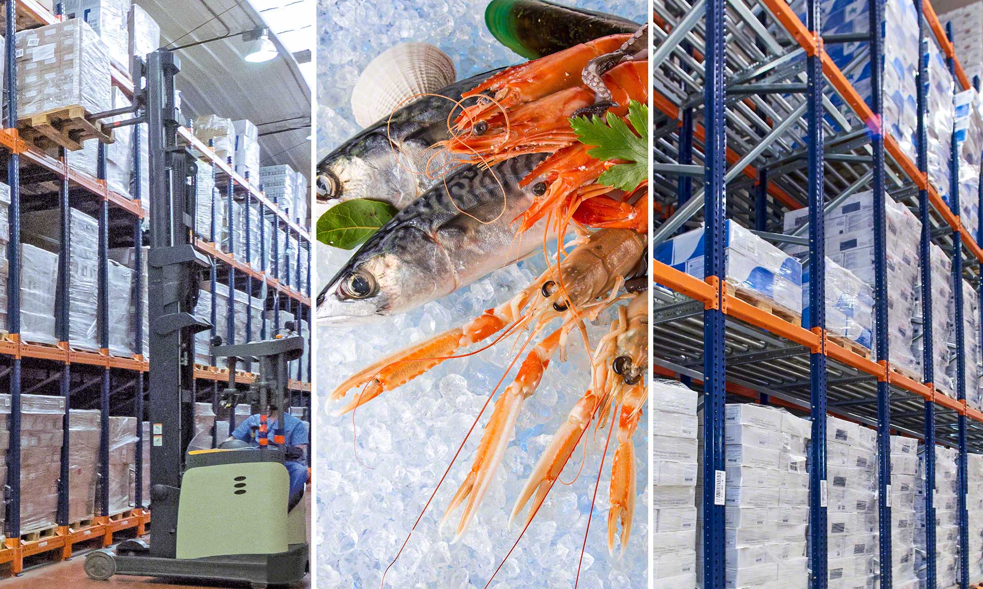 Rainforest Seafoods: qualidade e segurança em câmara de congelamento Rainforest Seafoods: qualidade e segurança em câmara de congelamento