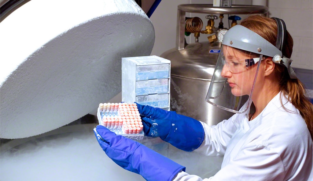 Um armazém criogênico é uma instalação projetada para manter temperaturas muito baixas