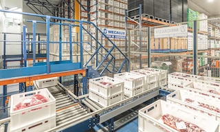 A automação no armazenamento de alimentos garante o gerenciamento e manuseio eficiente e sem erros dos estoques
