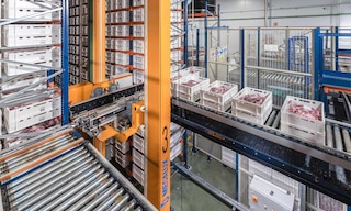 A cadeia de frio em logística