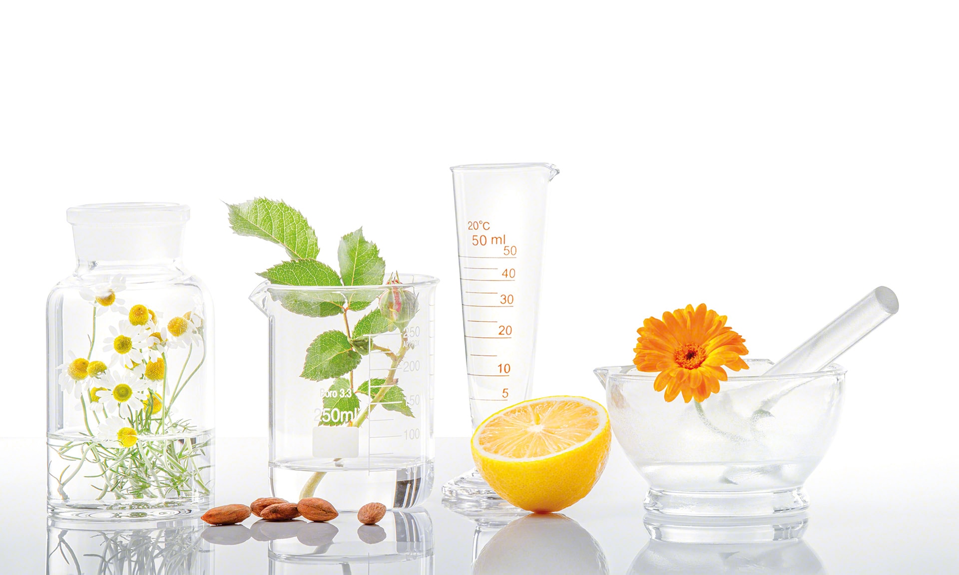 La Source digitaliza seu armazém de produtos dietéticos naturais com Easy WMS La Source digitaliza seu armazém de produtos dietéticos naturais com Easy WMS