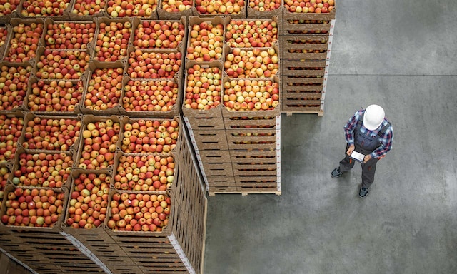 Megafin (3PL) digitaliza um dos maiores armazéns da Colômbia com o Easy WMS