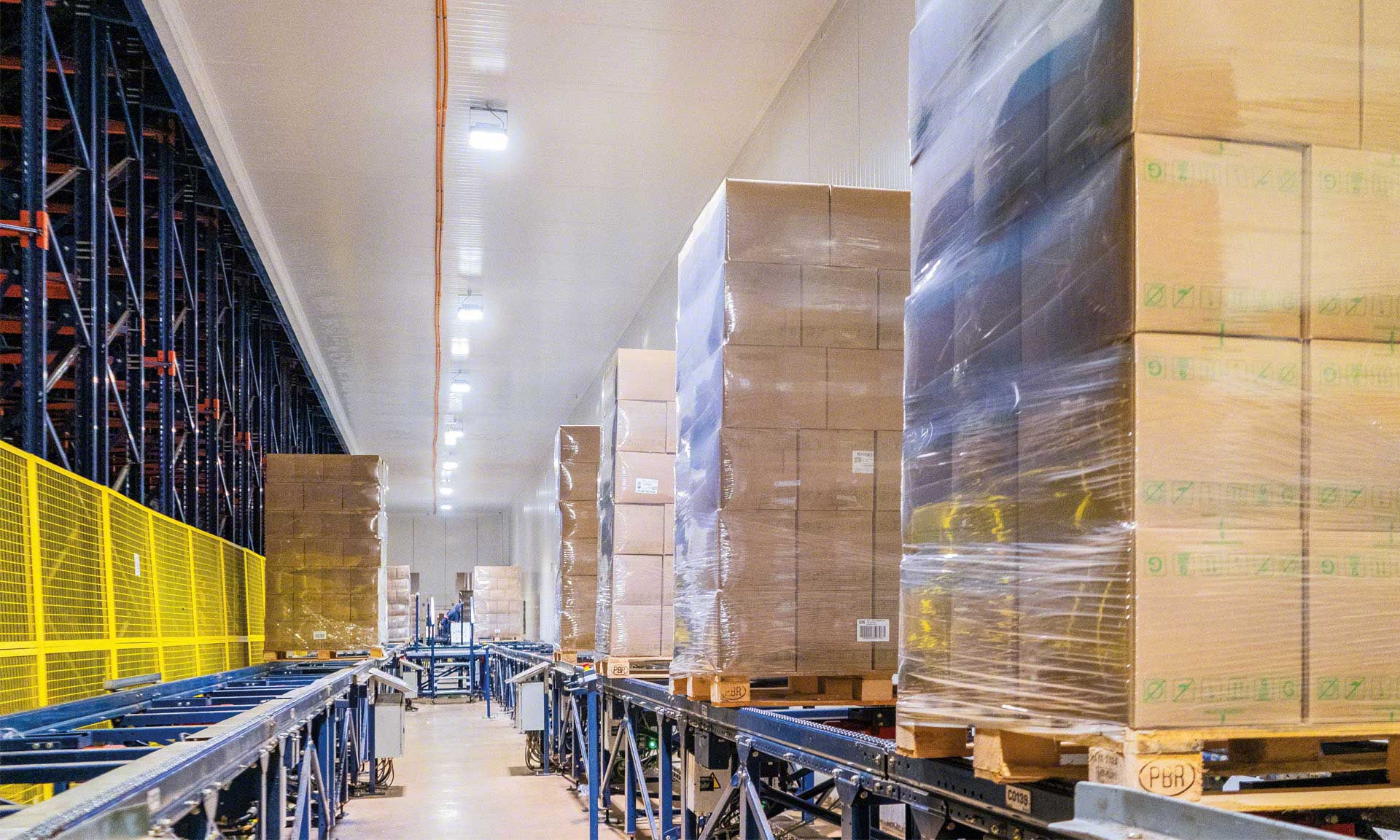 Bem Brasil movimenta 500 mil toneladas de alimentos congelados com o Pallet Shuttle Automático