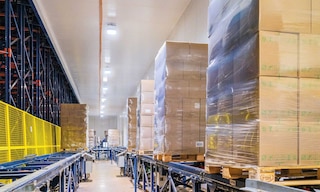 Bem Brasil movimenta 500 mil toneladas de alimentos congelados com o Pallet Shuttle Automático