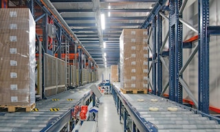 A automação da Frigo Logistics, a principal 3PL com temperatura controlada na Polônia