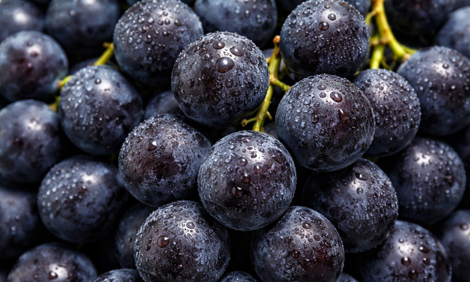 NRJ Wines impulsiona seu crescimento e seu novo negócio de logística terceirizada (3PL) com a Easy WMS