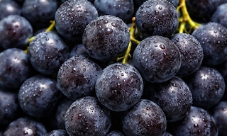 NRJ Wines impulsiona seu crescimento e seu novo negócio de logística terceirizada (3PL) com a Easy WMS