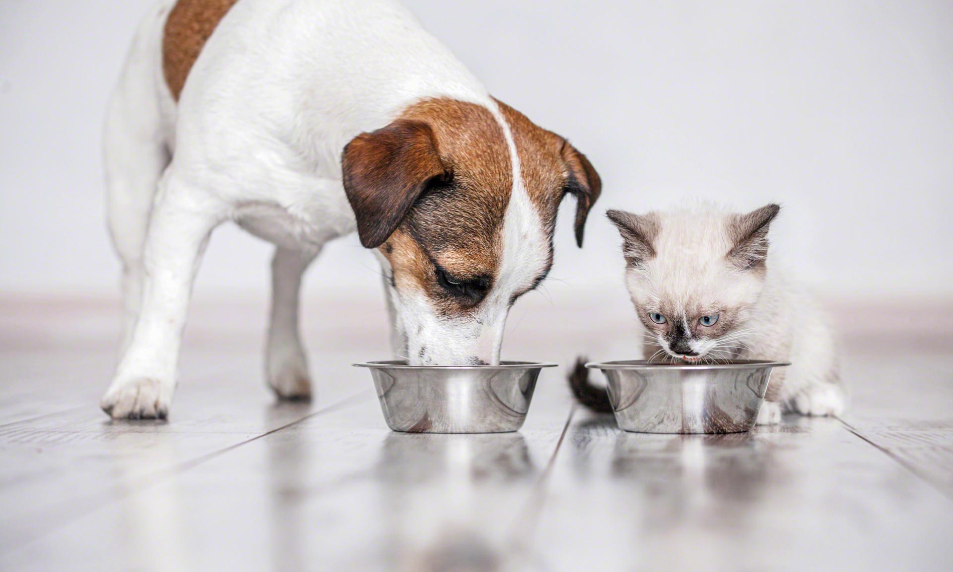 Vitakraft Itália renova seu armazém de alimentos para animais de estimação