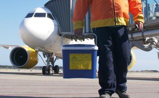 Várias companhias aéreas transportam órgãos abnegadamente na cabine