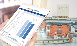Femaş Group: armazenamento automático de caixas e paletes Femaş Group: armazenamento automático de caixas e paletes