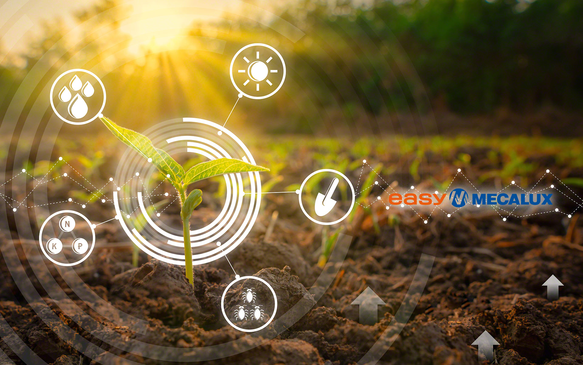 Lar: armazenamento robotizado de alimentos em temperatura congelada Lar: armazenamento robotizado de alimentos em temperatura congelada